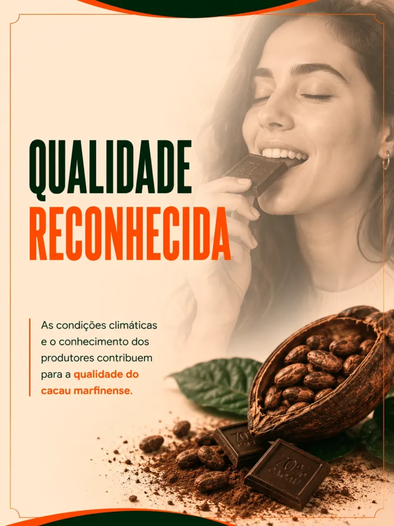 A Côte d’Ivoire e o cacau: liderança mundial que conecta produção e mercados