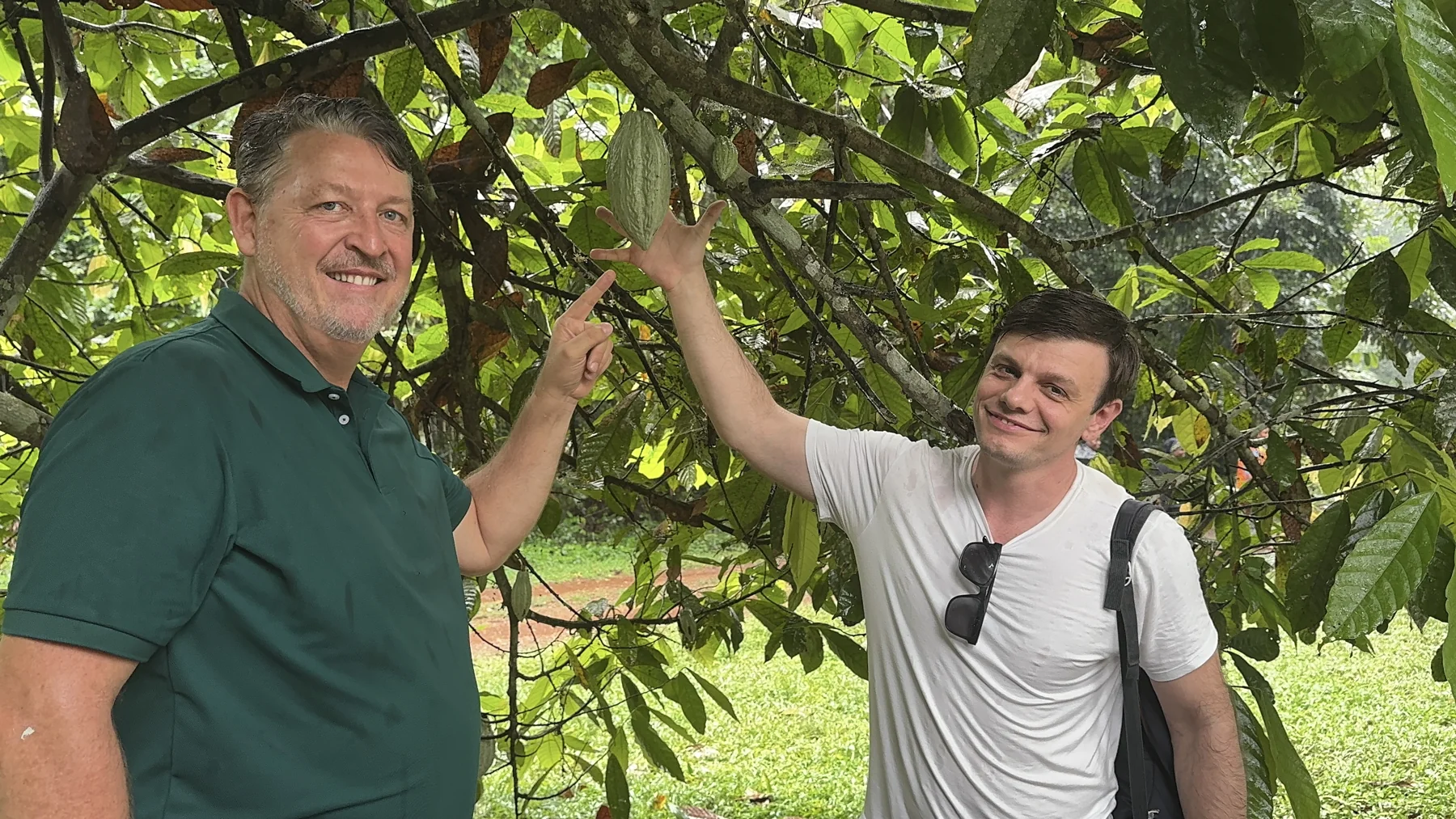 Domaine Bini · Mission Brésil–Côte d’Ivoire · 3